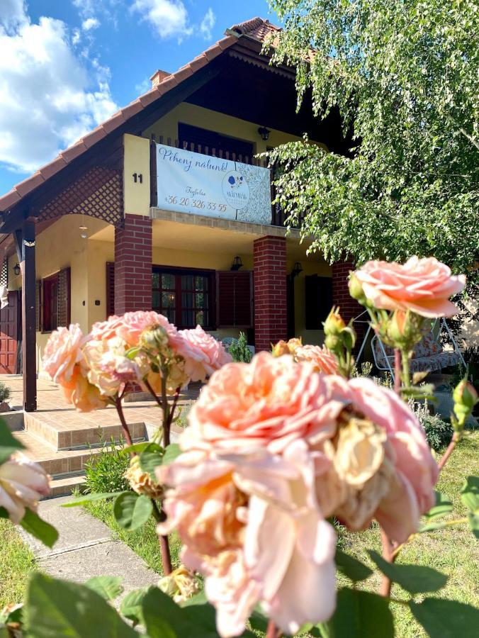 Akacvirag Vendeghaz Будинок відпочинку Sarud